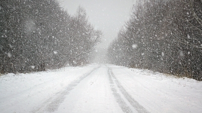 Сильные снегопад и ветер ожидаются сегодня в Беларуси
