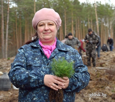 Республиканская добровольная акция «Адновім лясы разам!» проходит в Глусском районе