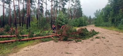 После урагана в Белгосстрах обратилось семь жителей Глусского района
