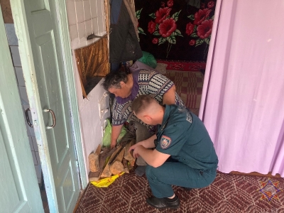 Сделай свой дом безопасным. Глуск