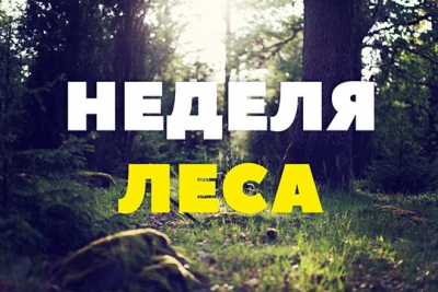 Республиканская акция «Неделя леса — 2019»