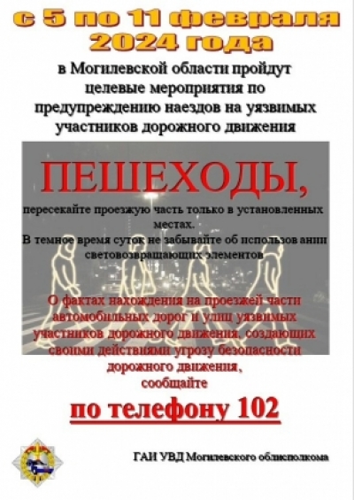 Целевые мероприятия по&nbsp;предупреждению наездов на&nbsp;уязвимых участников дорожного движения.