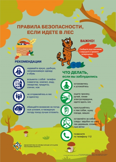 Глусские спасатели нашли трех заблудившихся в лесу