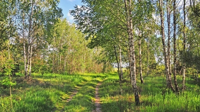 О погоде на неделю, на июнь и на лето