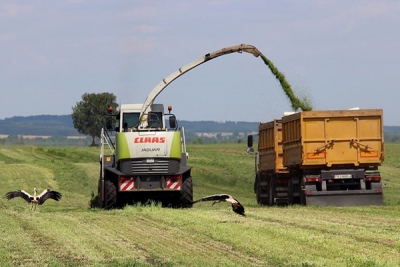 В Могилевской области заготовили — 45,1% травяных кормов