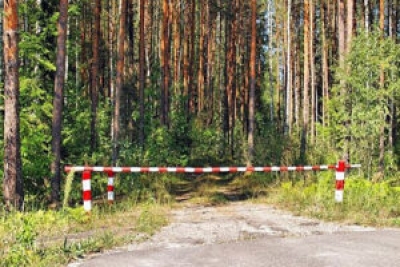 Запрет на посещение лесов
