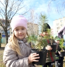 В честь 100-летия Глусского района на территории детского сада № 4 Глуска заложили сосновую аллею