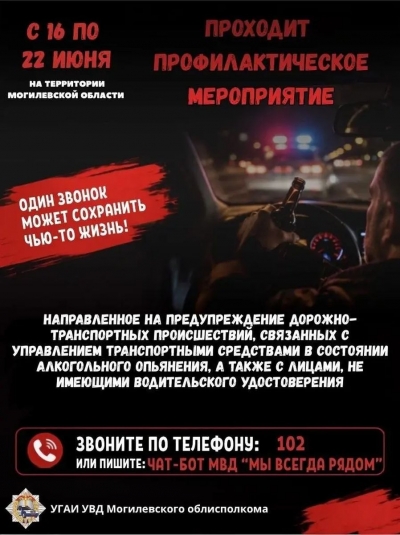 Нетрезвый за&nbsp;рулем&nbsp;&mdash; угроза всем! ГАИ Могилёвской области усиливает контроль